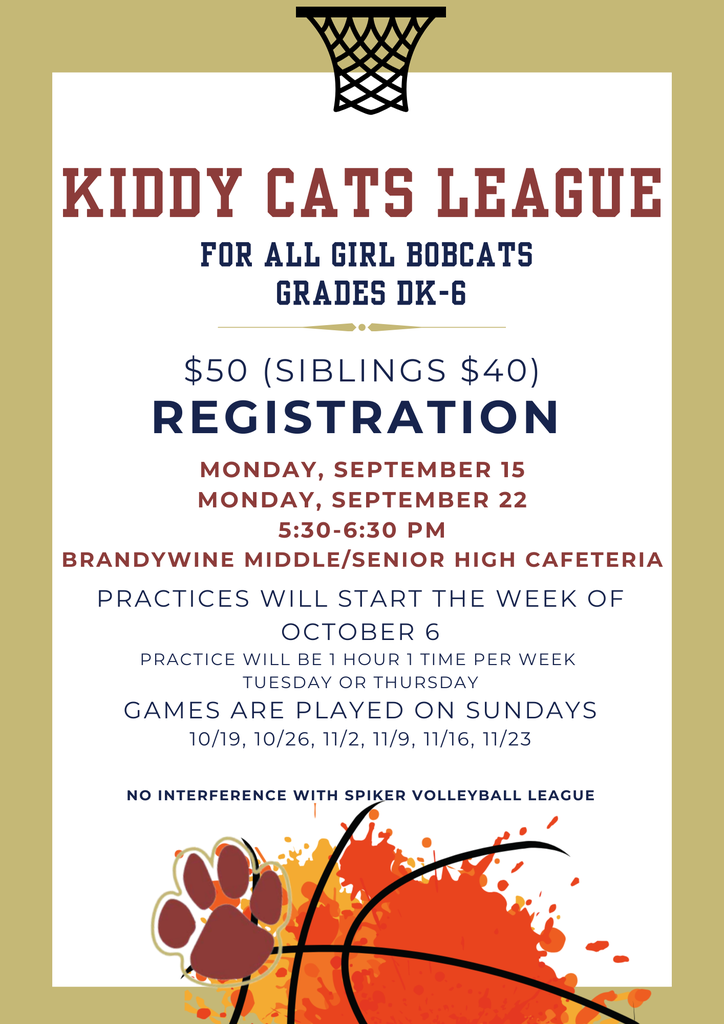 kiddy cats league