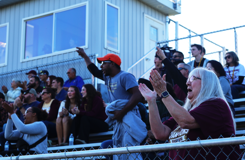 fans in the stands cheering