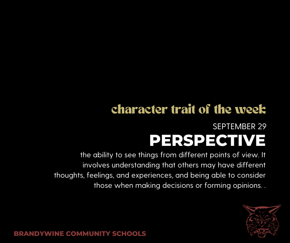 Perspective is the ability to see things from different points of view. It involves understanding that others may have different thoughts, feelings, and experiences, and being able to consider those when making decisions or forming opinions.