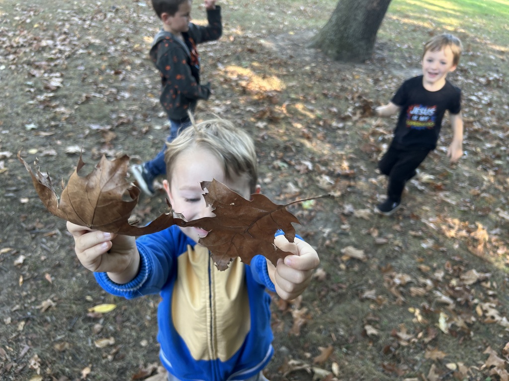 students picking up leaves