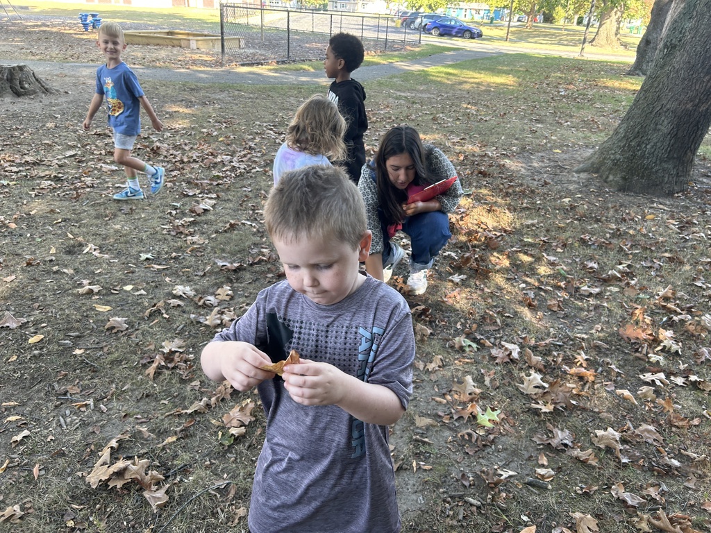 students picking up leaves