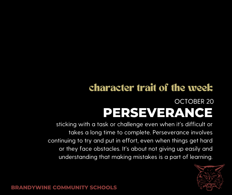perseverance