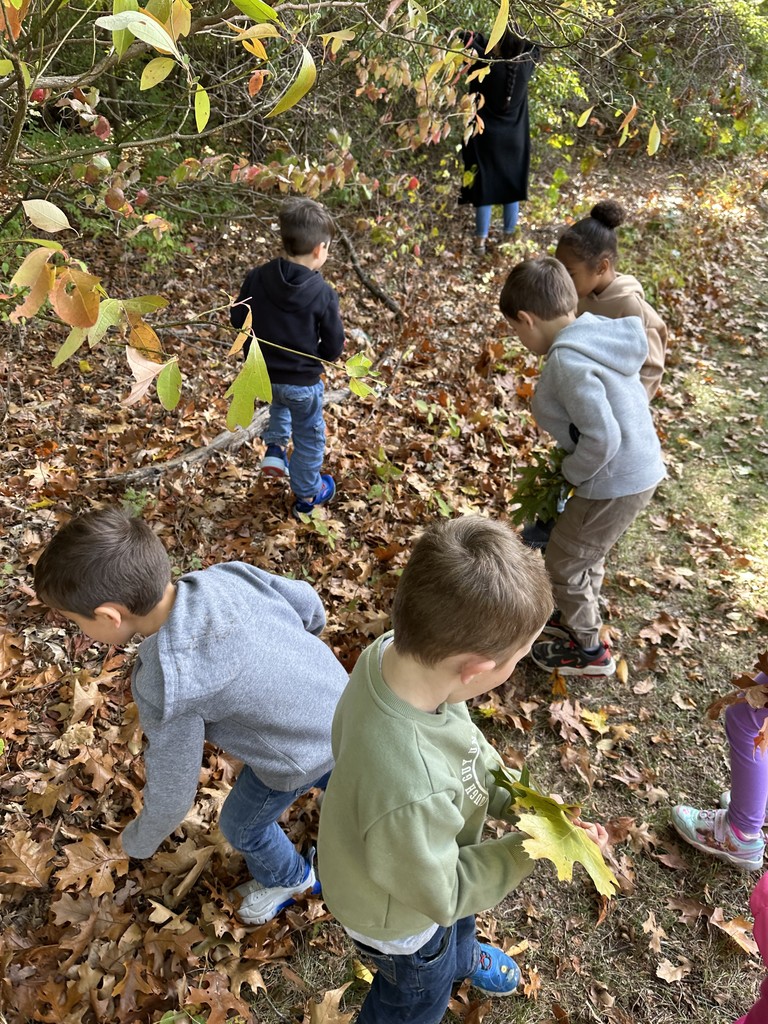 student holding leaves