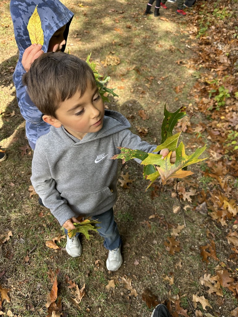 student holding leaves