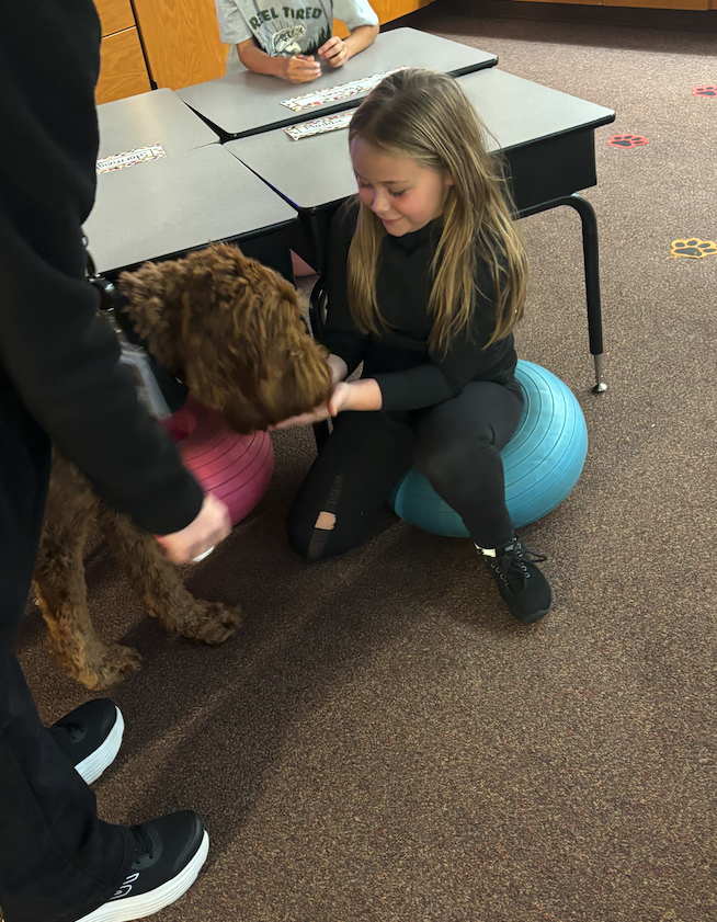 kid giving dog a treat