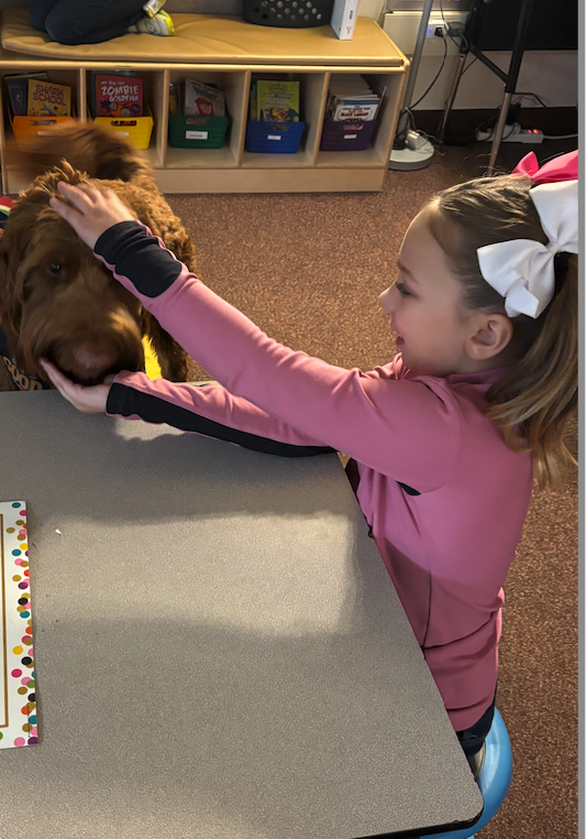 kid giving a dog a pet