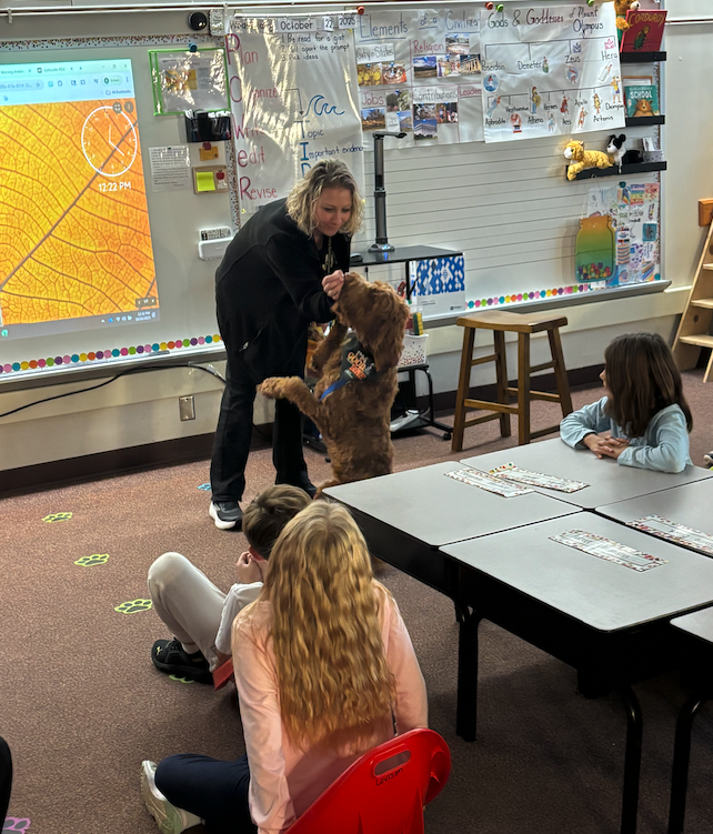 handler giving dog a treat