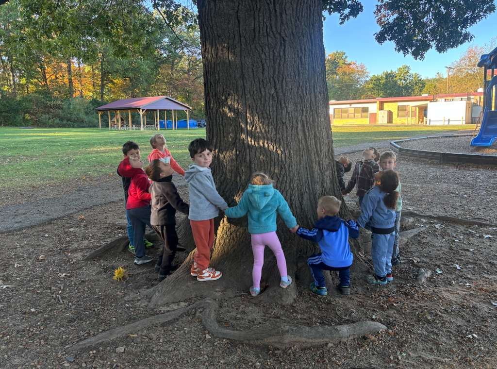 kids measuring the tree