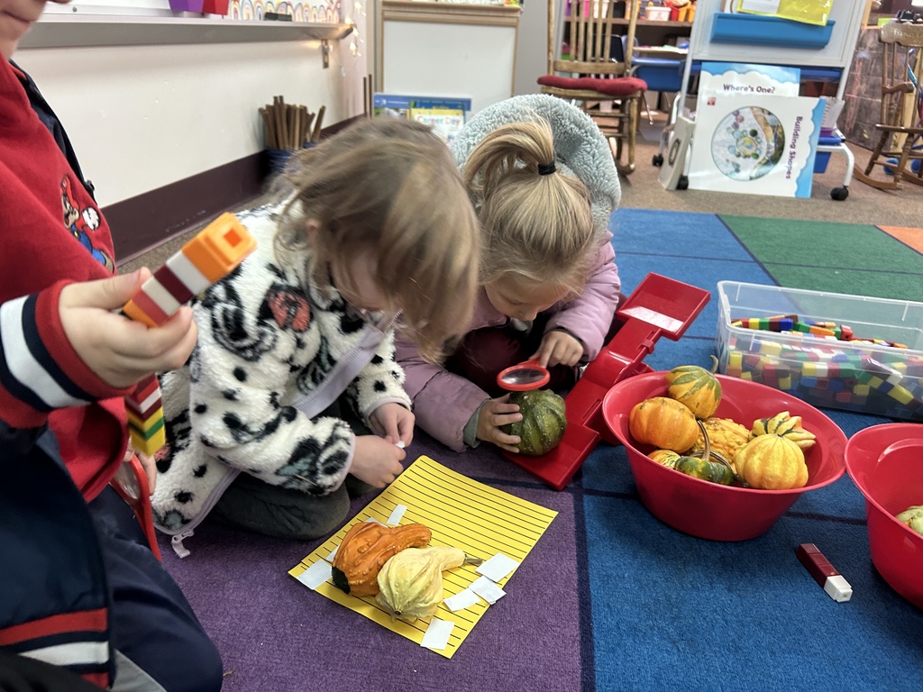 little girls looking closely at pumpkins
