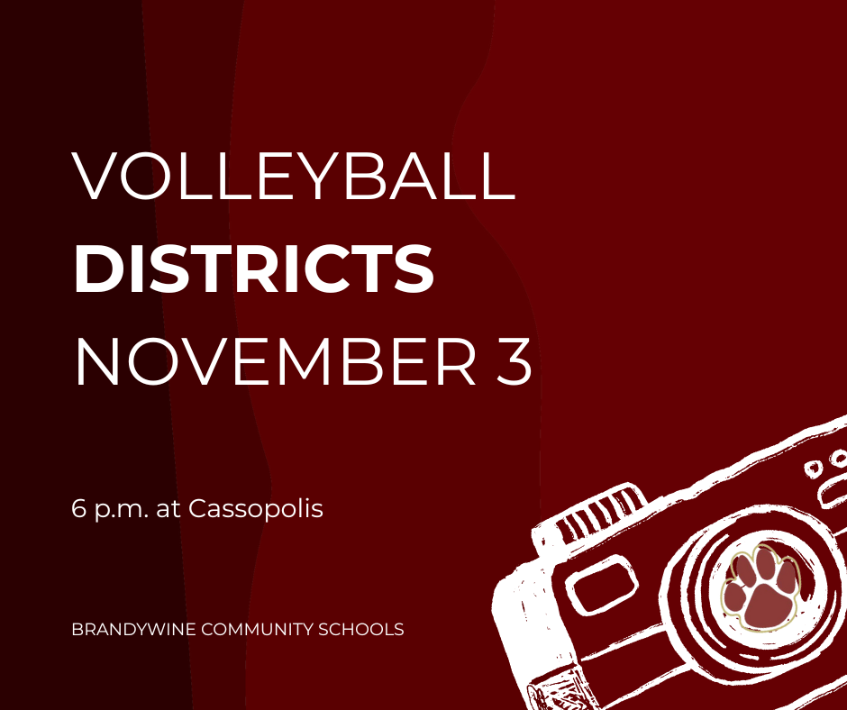 volleyball districts November 3