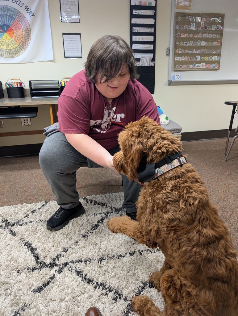 young man petting dog