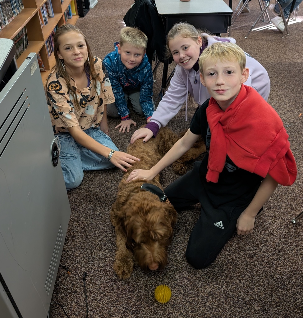 dog with group of kids