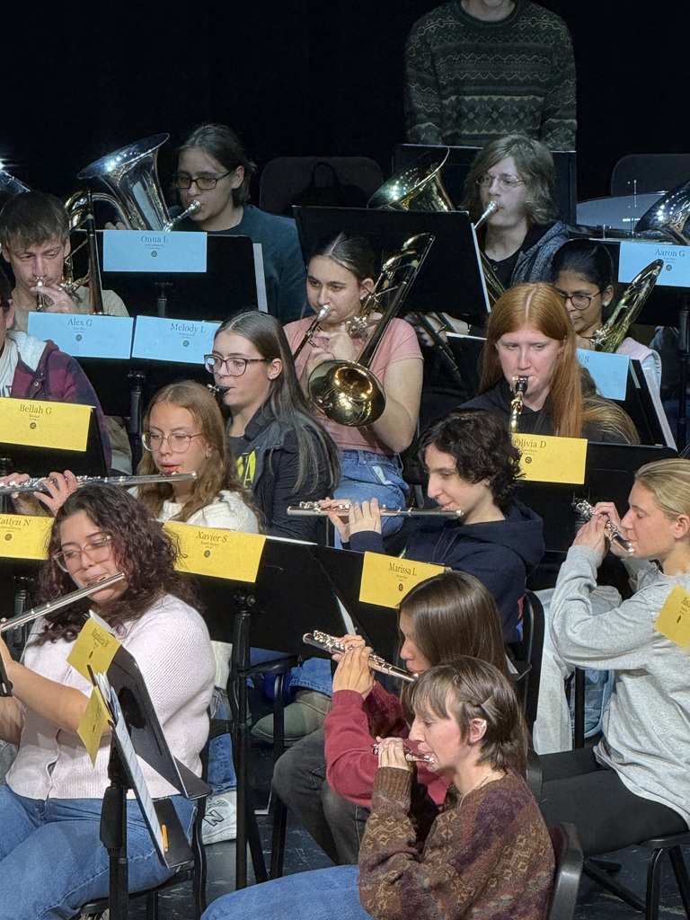 students playing in honors band