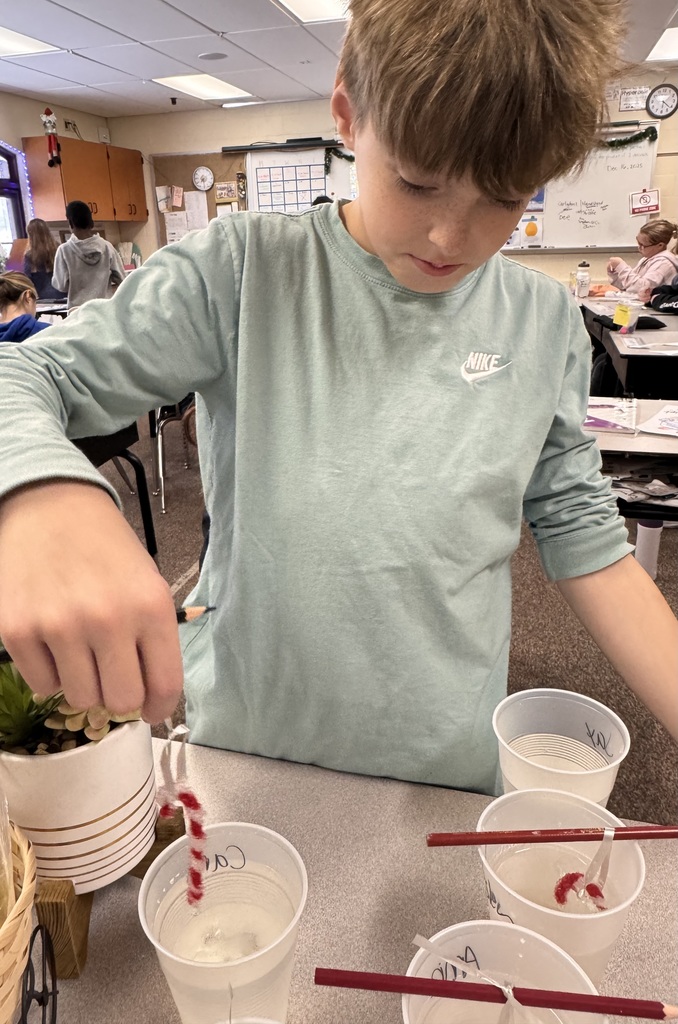 student dipping candy cane in a cup