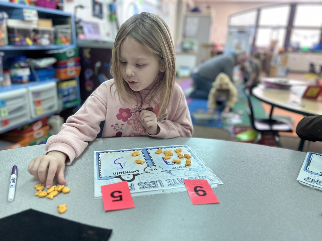 students counting goldfish