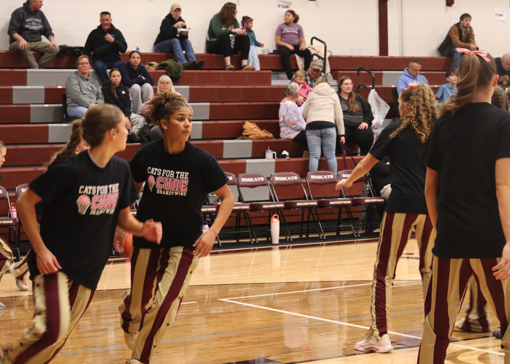 girls playing basketball