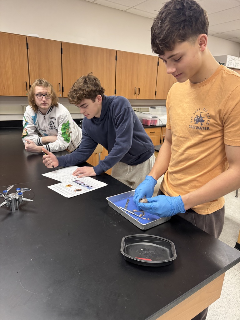 three students dissecting sheep eyes in science class