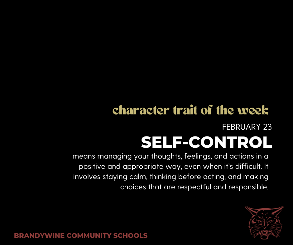 self control means managing your thoughts, feelings, and actions in a positive and appropriate way, even when it’s difficult. It involves staying calm, thinking before acting, and making choices that are respectful and responsible. 