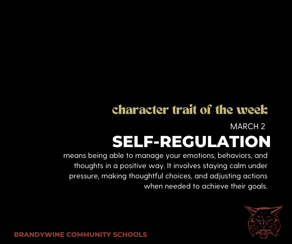 self regulation