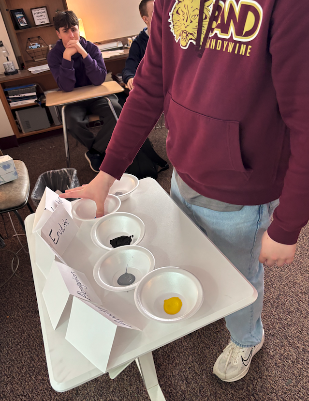 student putting thumb in paint