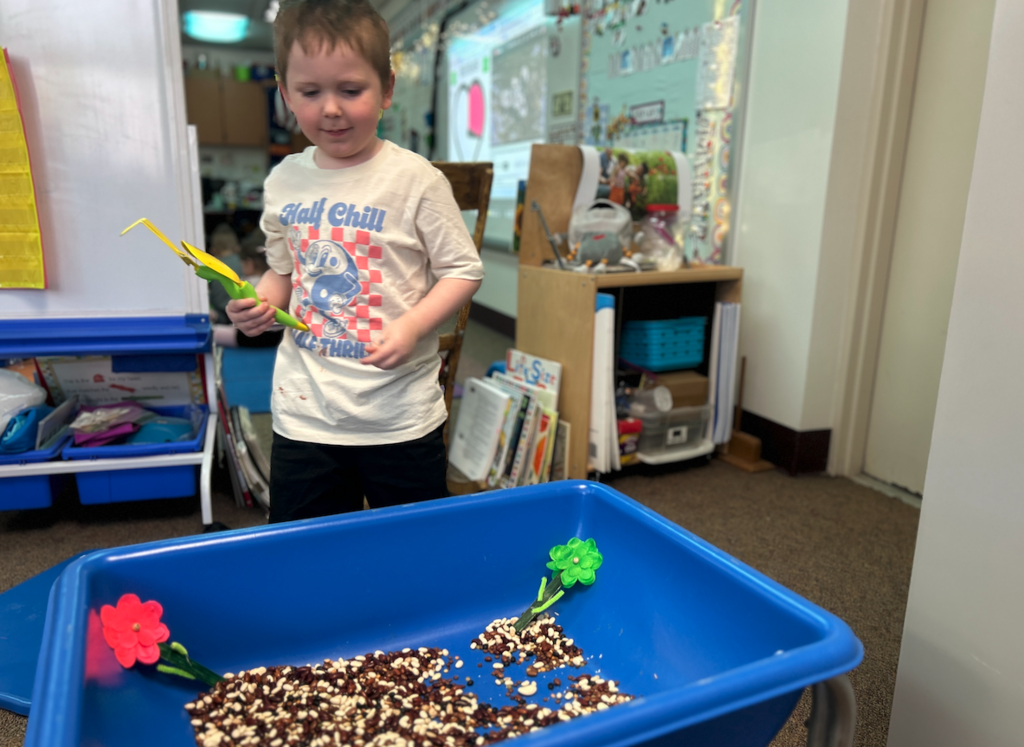 little boy playing with flower seeds