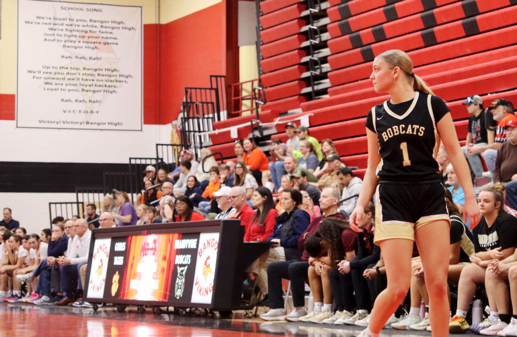 basketball player on court with crowd behind her