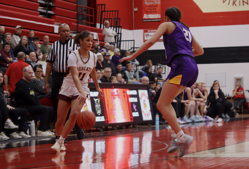 girls playing basketball