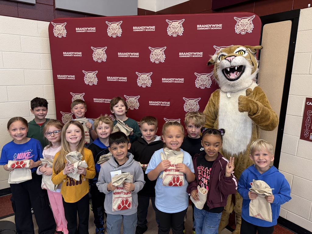 supercats with bobcat