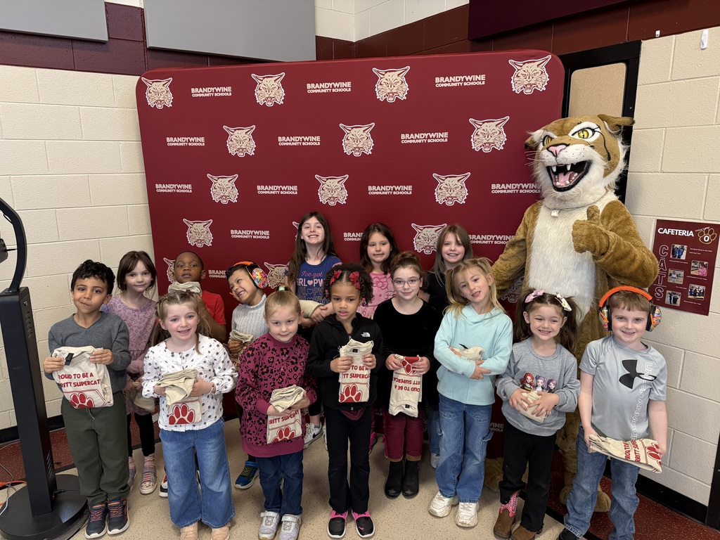 supercats with bobcat