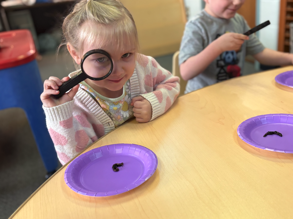 little girl looking at worm