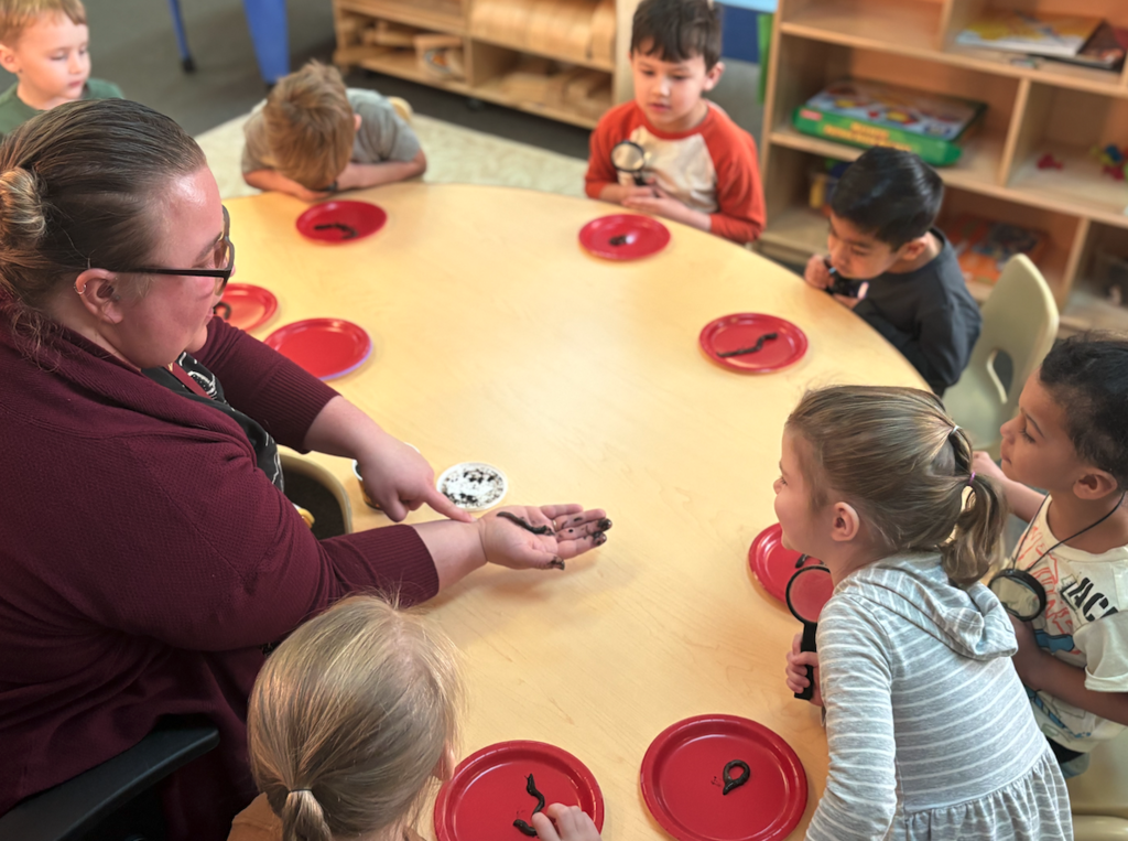 class looking at worm