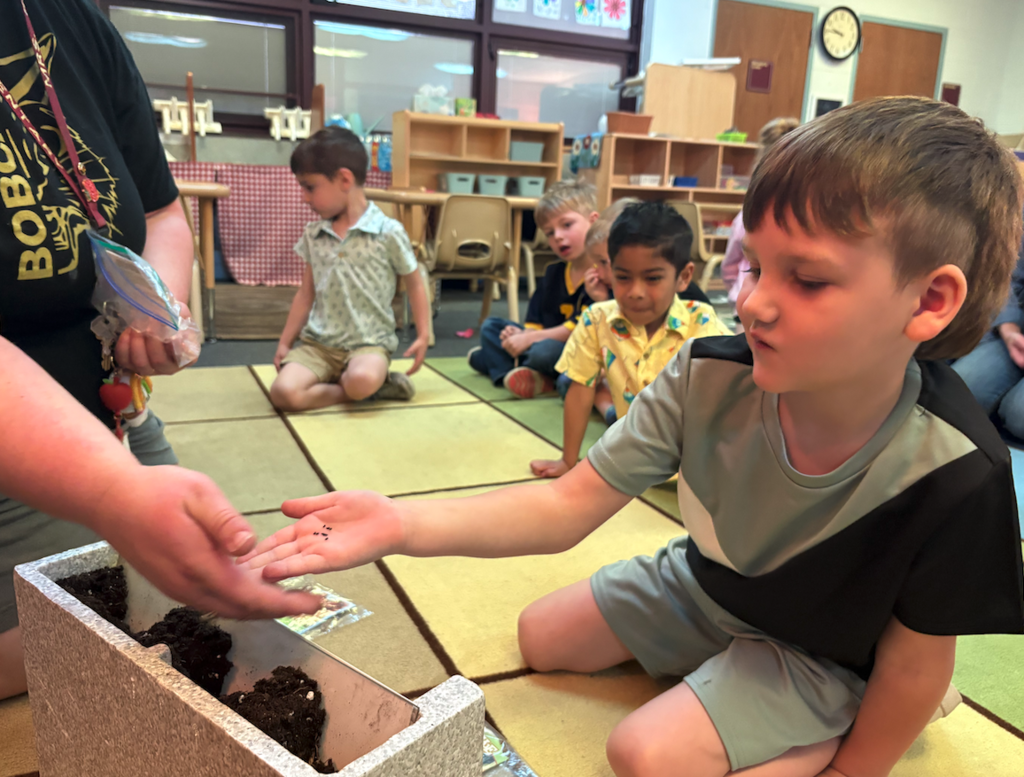 young boy with plant seeds in his hand