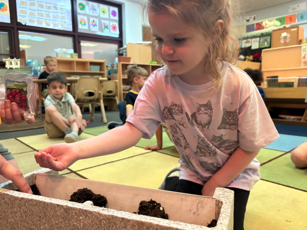 young girl with seeds in hand, getting ready to plant