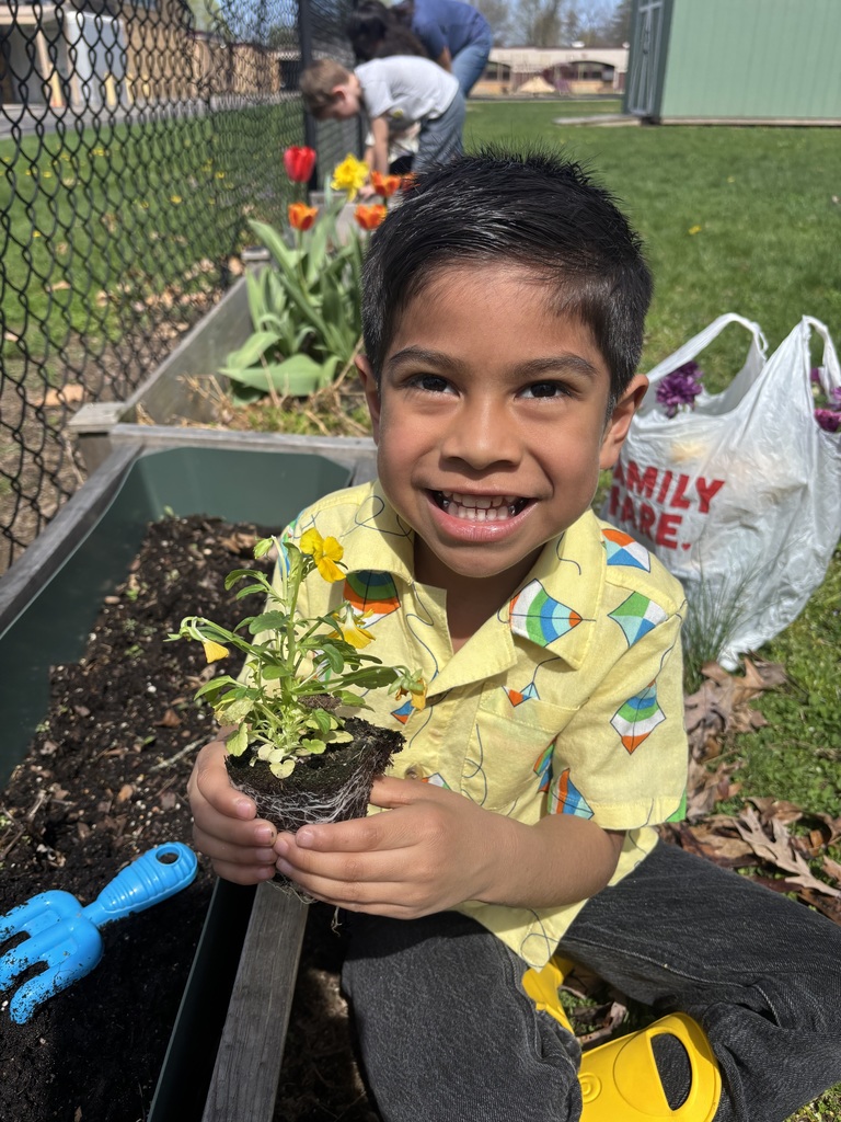 little boy holding flowers
