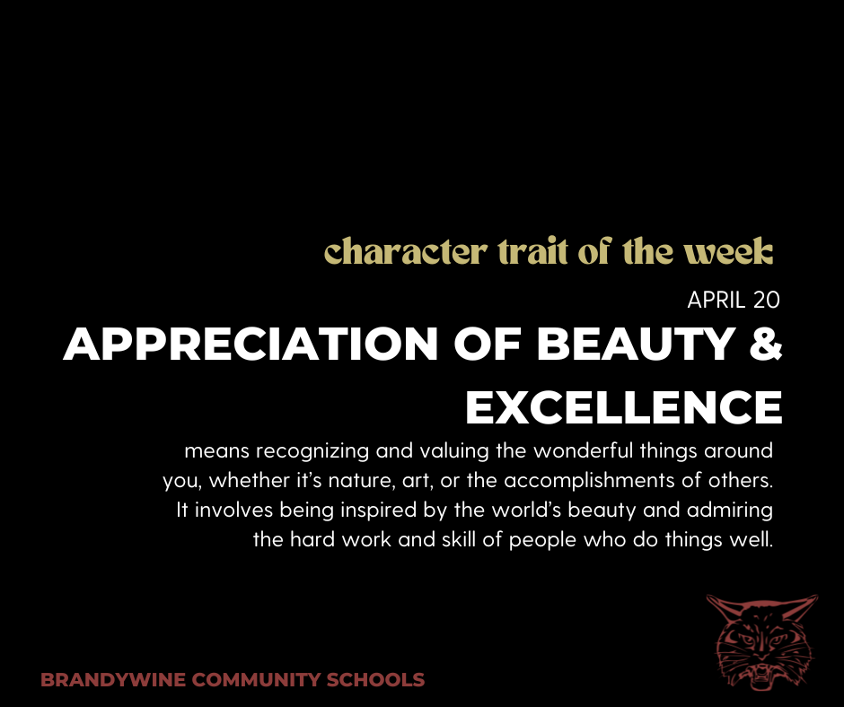 Appreciation of Beauty and Excellence means recognizing and valuing the wonderful things around you, whether it’s nature, art, or the accomplishments of others. It involves being inspired by the world’s beauty and admiring the hard work and skill of people who do things well.