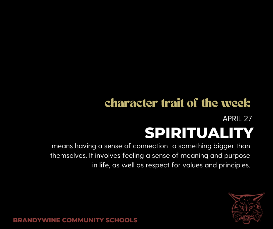 Spirituality means having a sense of connection to something bigger than themselves. It involves feeling a sense of meaning and purpose in life, as well as respect for values and principles