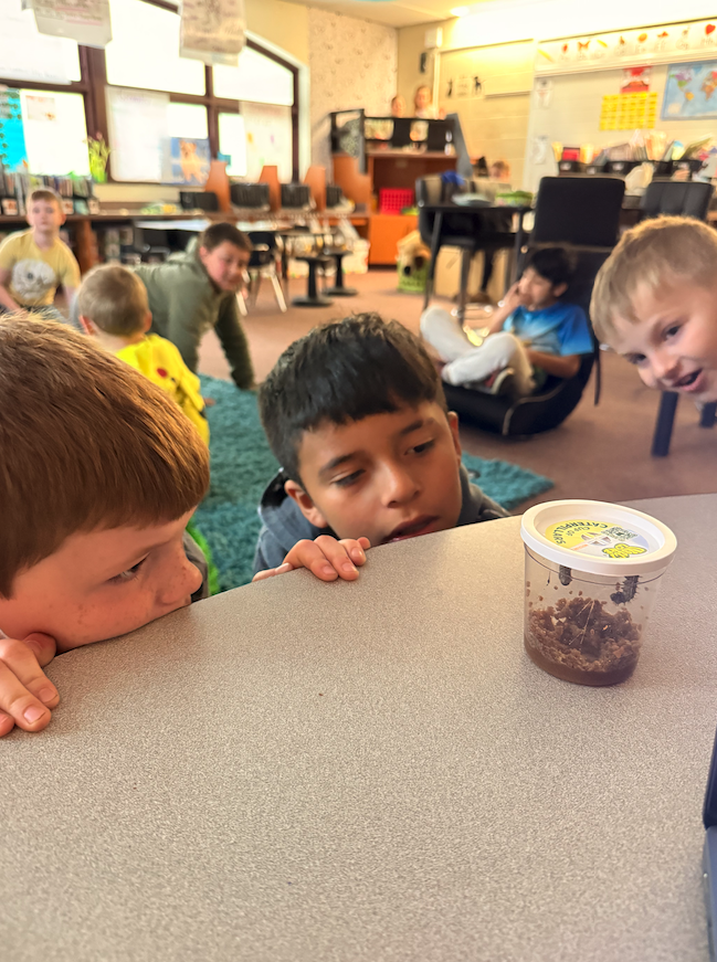 little kids looking at container of larvae