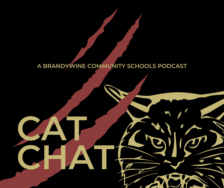 cat chat
