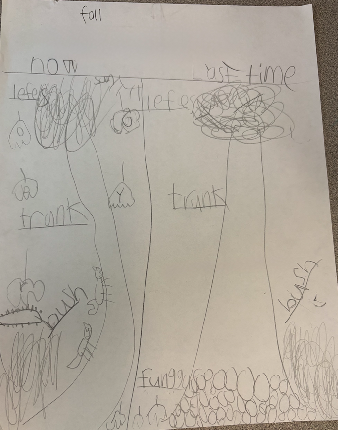 nature journaling