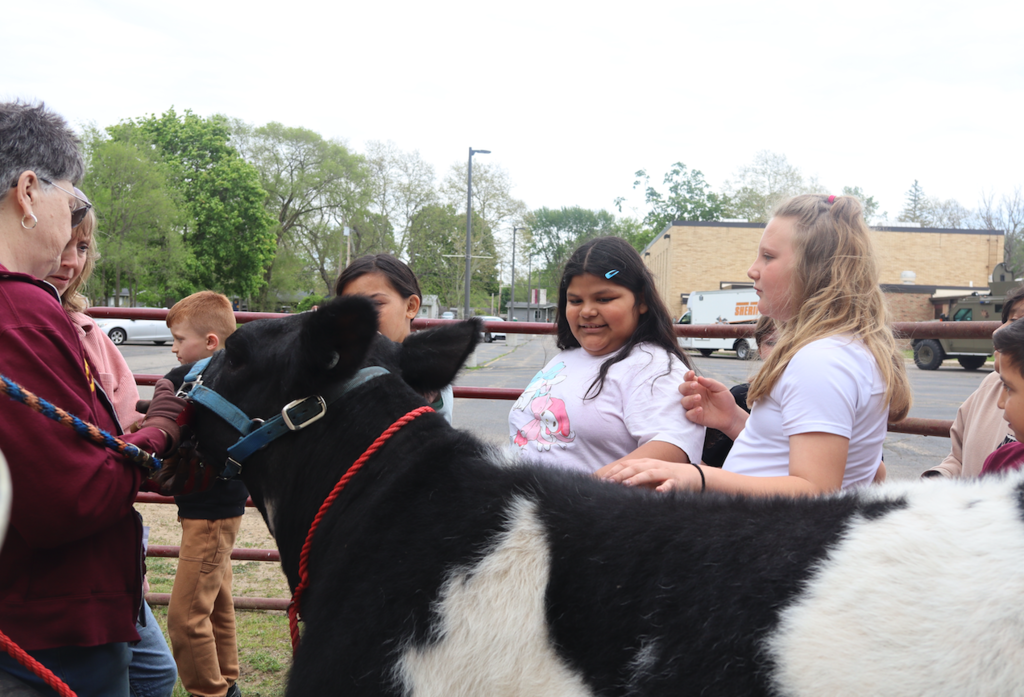 students petting cow