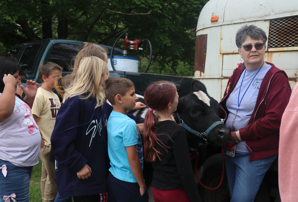 students petting cow