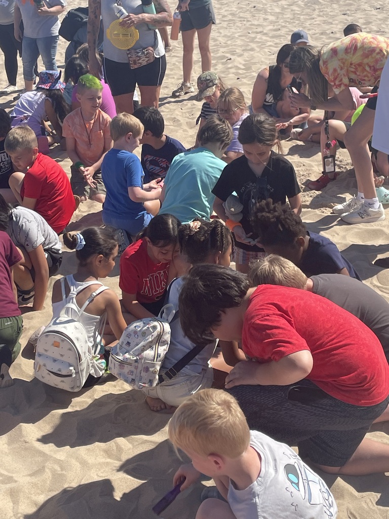 group of kids playing in the sand on the beach