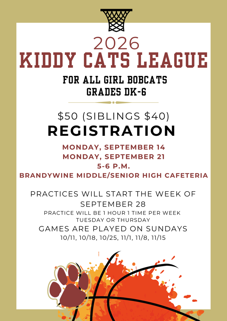 kiddy cats league