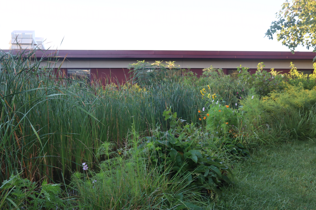 pond in courtyard with flowers and grasses