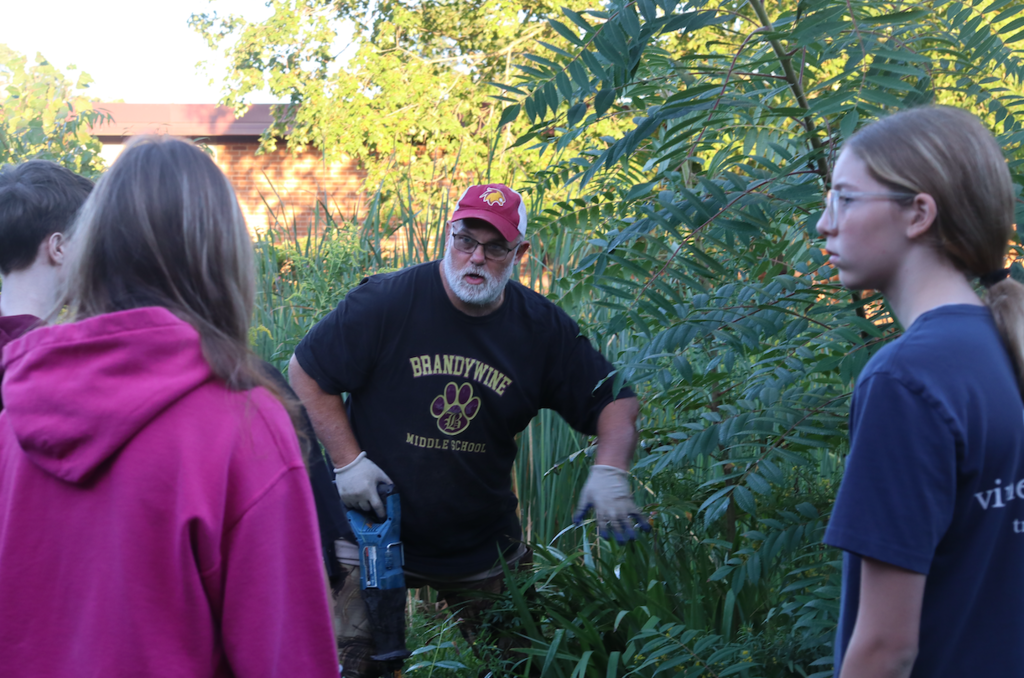 teacher showing students how to cut down sumac