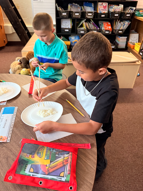 two boys at desk trying to pick rice up with chopsticks
