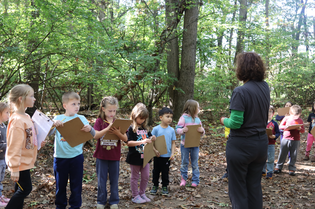 studnets listening to the teacher in the woods