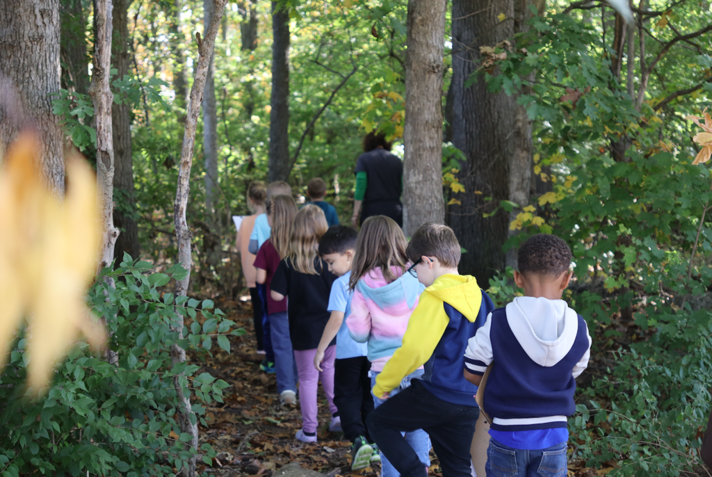 students walking in the woods