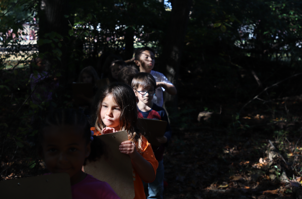 students walking in the woods