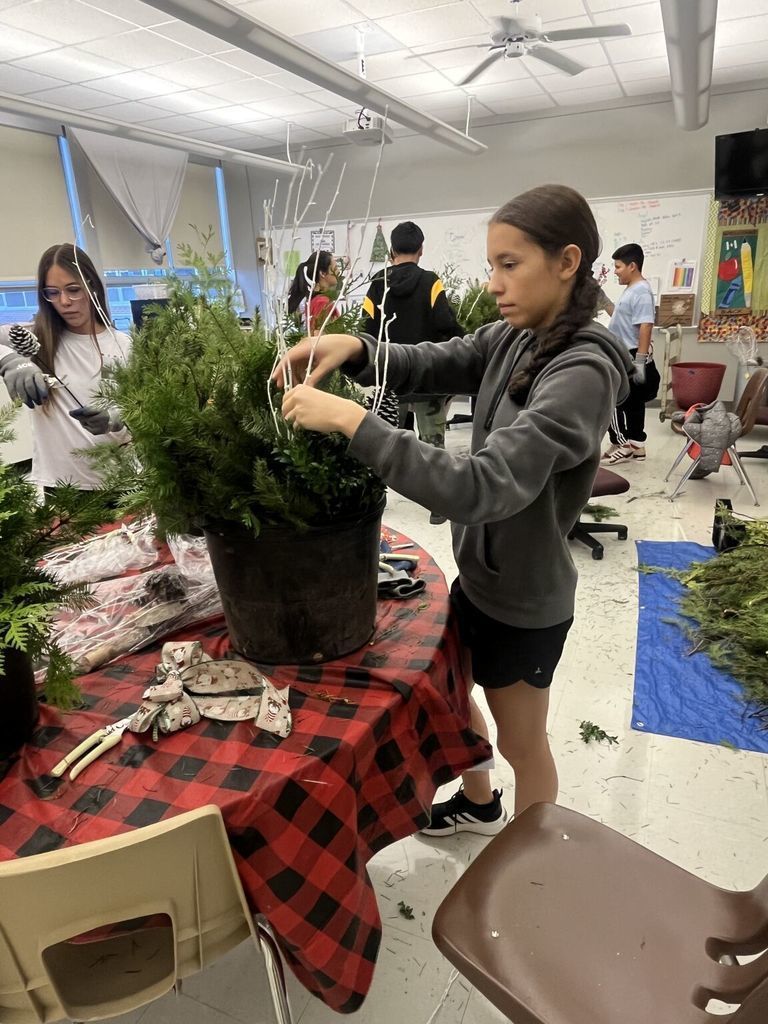 Potting Plants